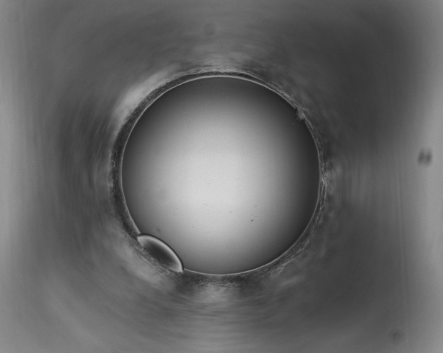 X0000114000248200910021323