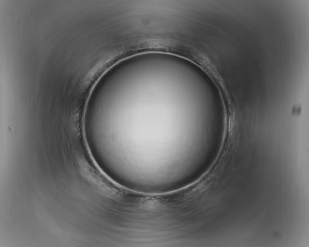 X0000114000249200910021323