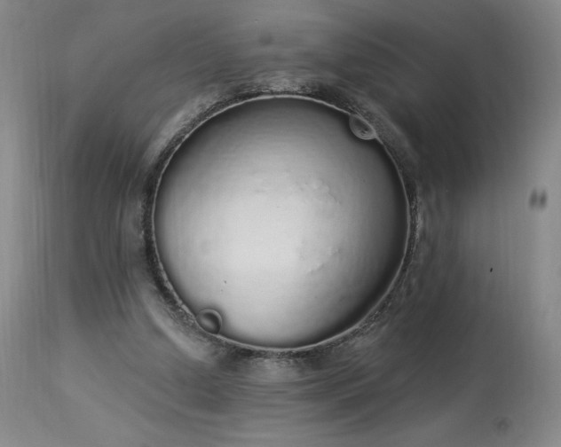 X0000114000250200910021323
