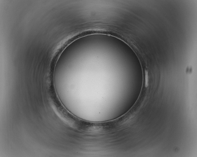 X0000114000252200910021323