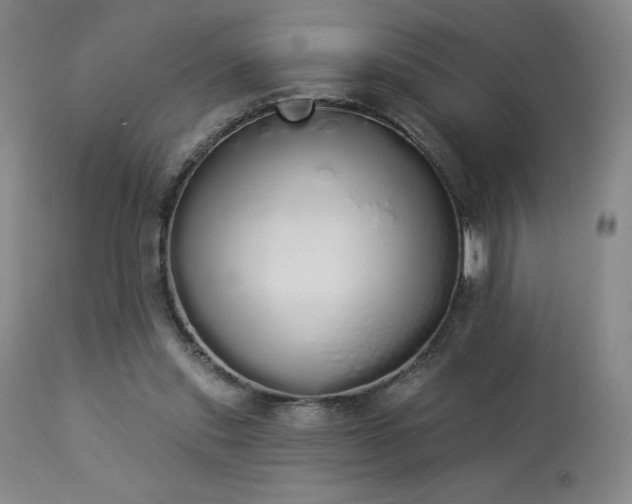X0000114000253200910021323