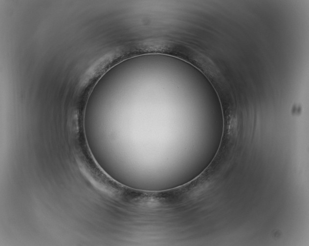 X0000114000254200910021323