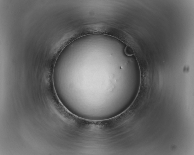 X0000114000255200910021323