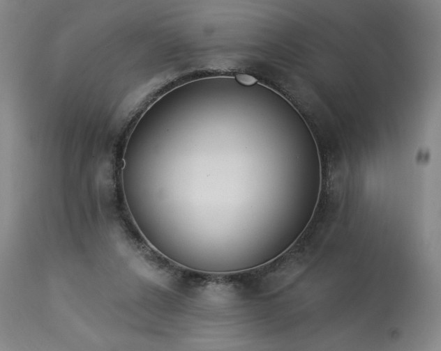 X0000114000256200910021323