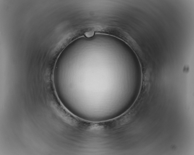 X0000114000257200910021323