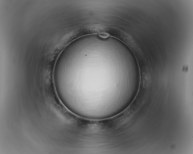 X0000114000259200910021323