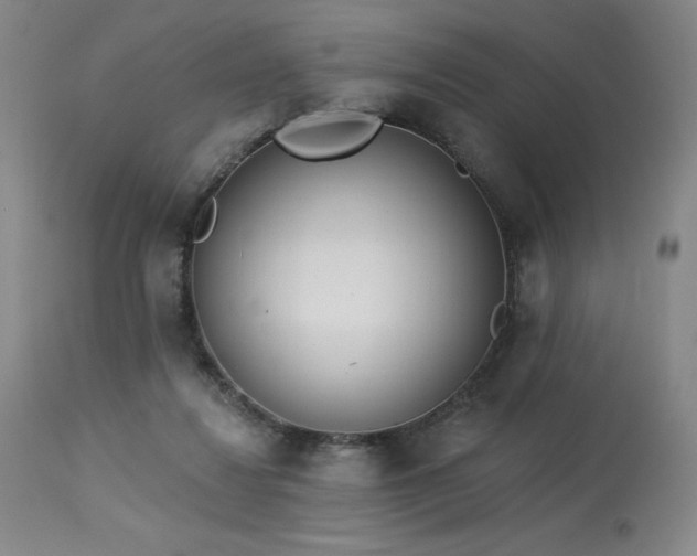 X0000114000260200910021323