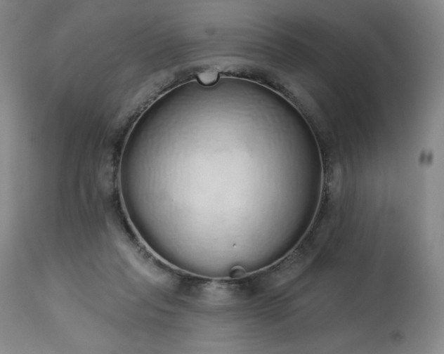 X0000114000261200910021323