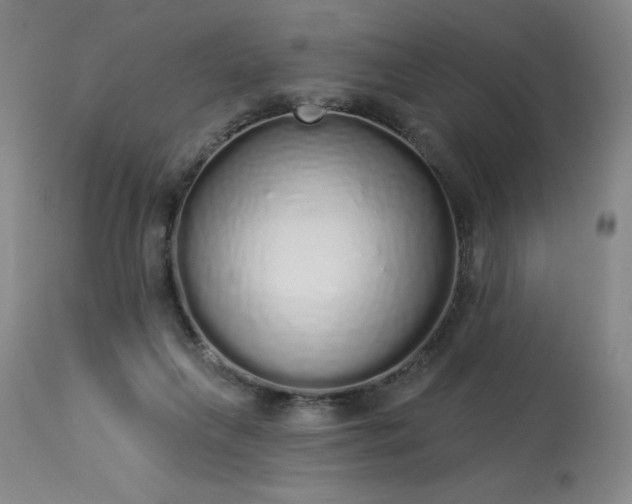 X0000114000263200910021323