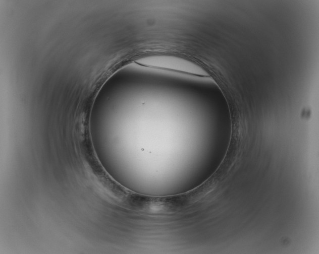 X0000114000264200910021323