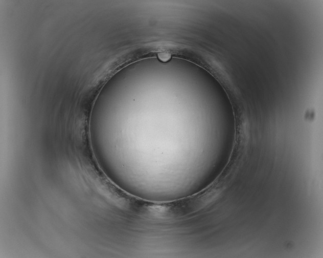 X0000114000265200910021323