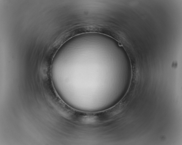 X0000114000266200910021323