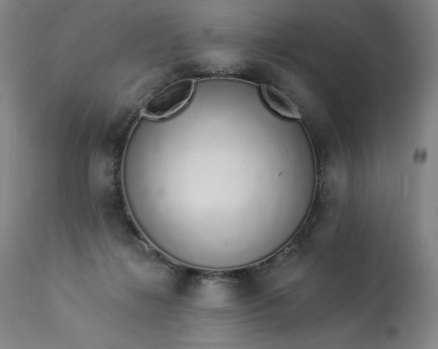 X0000114000268200910021323
