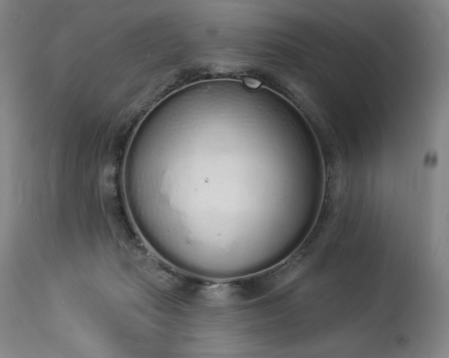 X0000114000269200910021323
