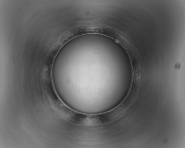 X0000114000270200910021323