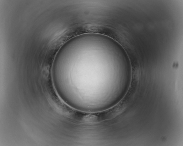 X0000114000271200910021323