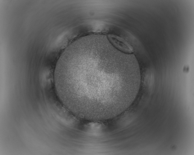 X0000114000272200910021323