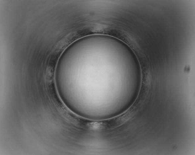X0000114000273200910021323