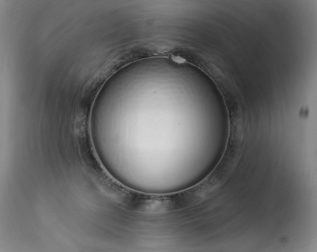 X0000114000274200910021323