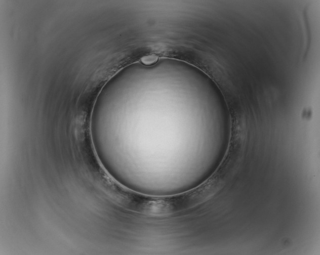 X0000114000275200910021323