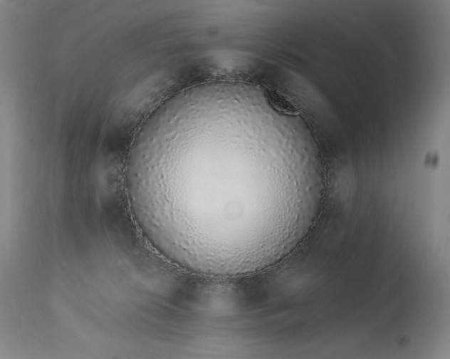 X0000114000276200910021323