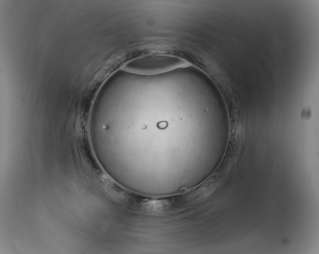 X0000114000277200910021323