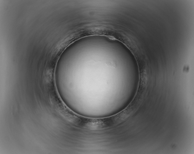 X0000114000278200910021323
