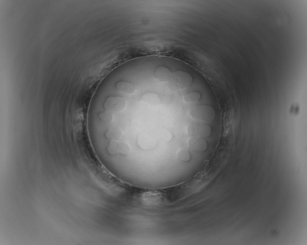 X0000114000279200910021323