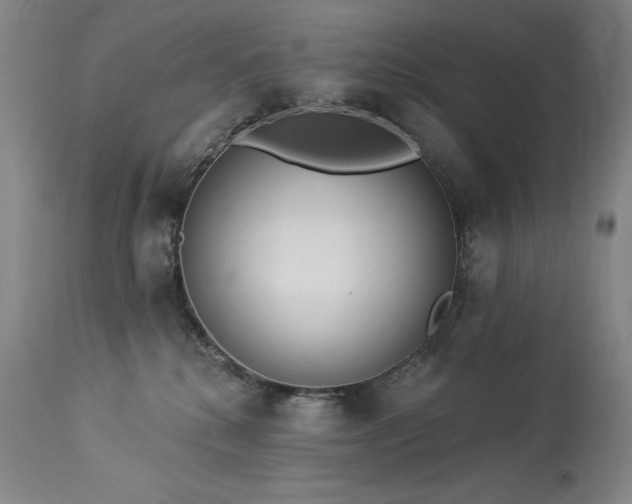 X0000114000280200910021323