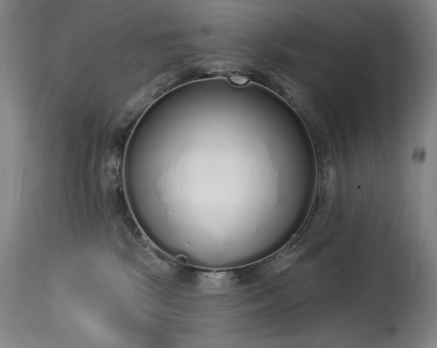 X0000114000281200910021323