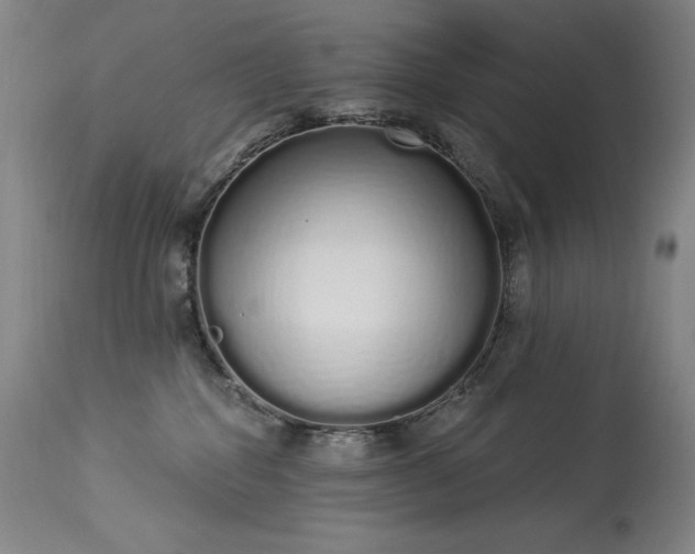 X0000114000282200910021323