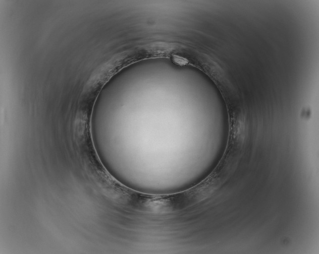 X0000114000283200910021323