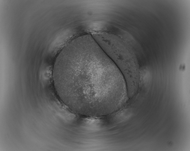 X0000114000284200910021323