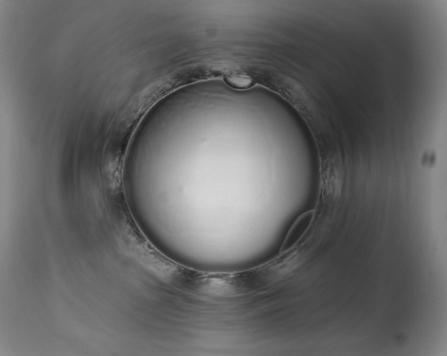 X0000114000285200910021323
