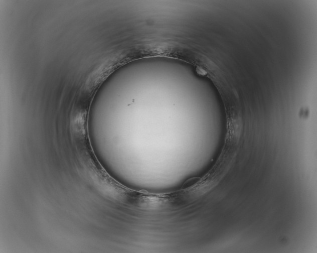 X0000114000286200910021323