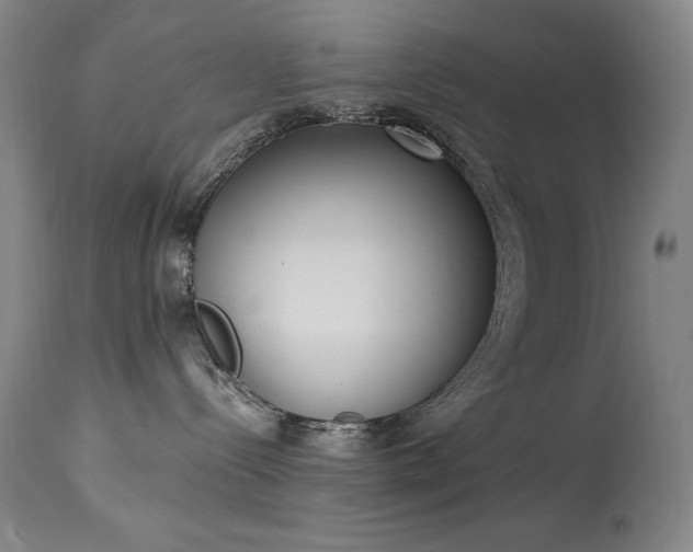 X0000114000288200910021323