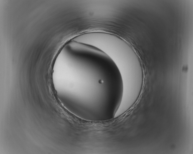 X0000114000289200910021323