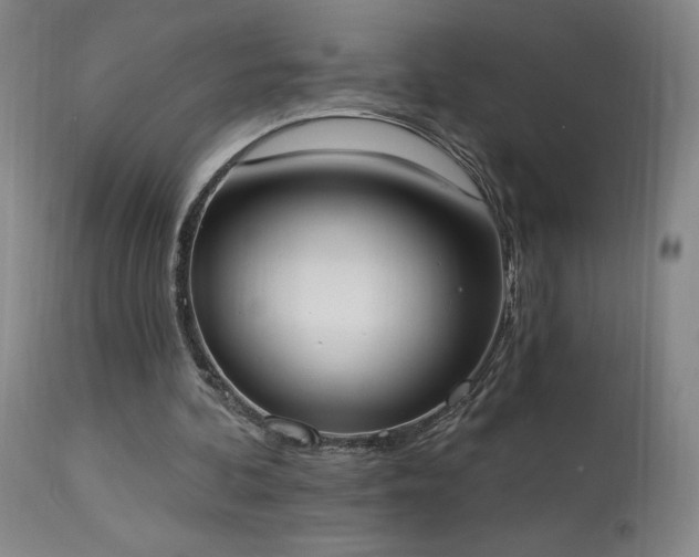 X0000114000292200910021323