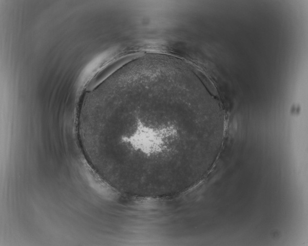 X0000114000293200910021323