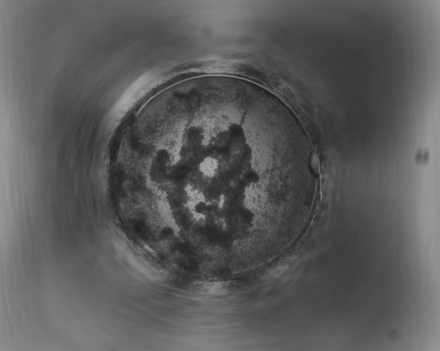 X0000114000295200910021323