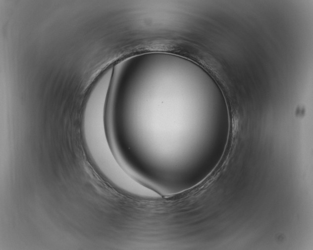 X0000114000297200910021323