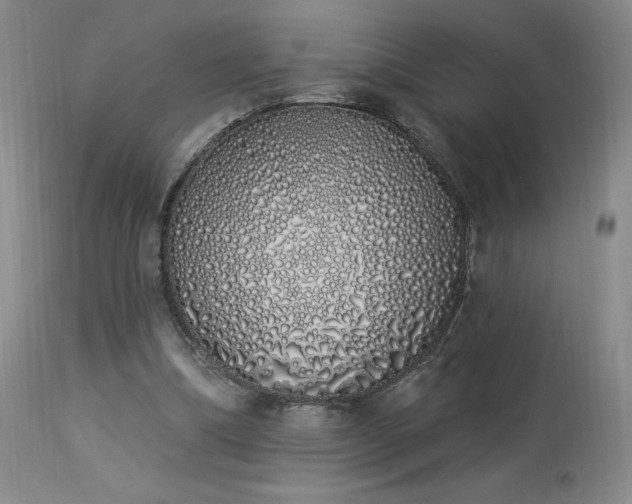 X0000114000298200910021323