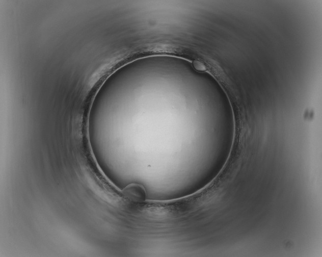 X0000114000299200910021323