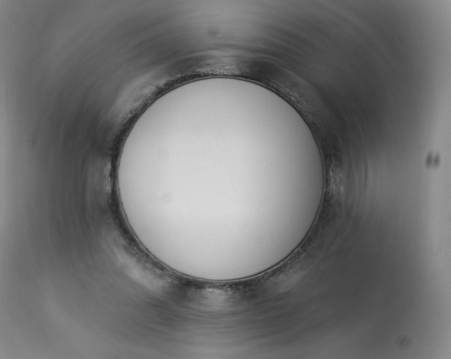 X0000114000302200910021323