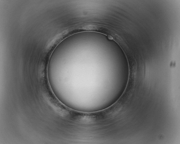 X0000114000303200910021322