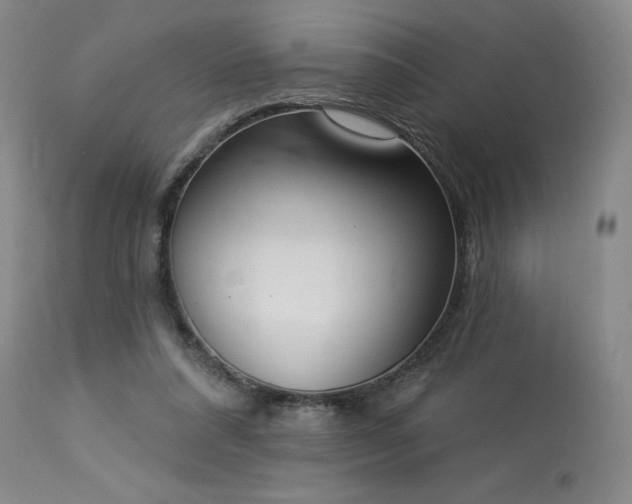 X0000114000304200910021322