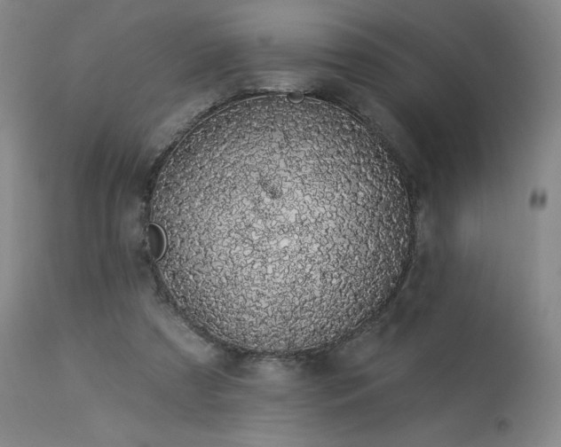 X0000114000305200910021322