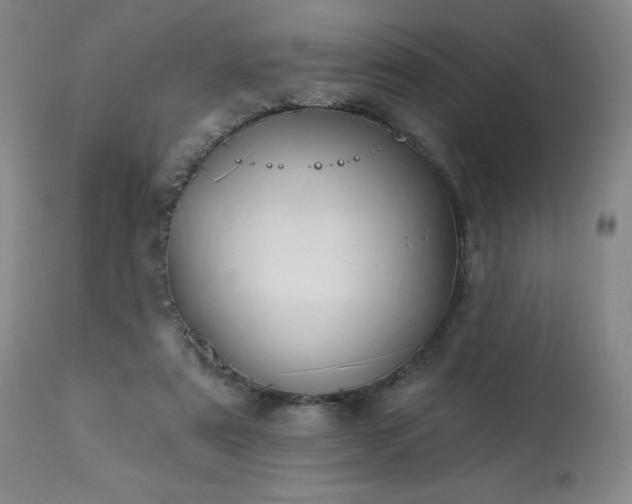 X0000114000307200910021322