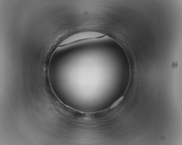 X0000114000308200910021322
