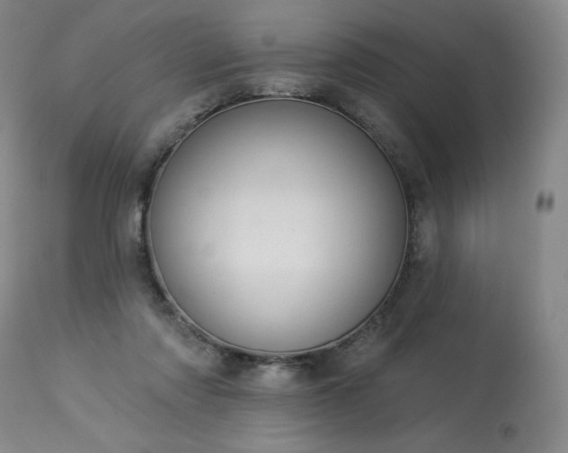 X0000114000310200910021322